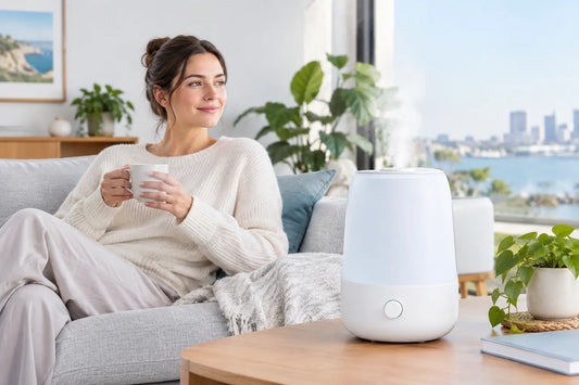 How to Choose a Dry Skin Humidifier at Home