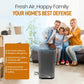 Bio Healing Model B02 Hepa 13 Air Purifier