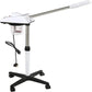 Bio Healing Ozone Facial Steamer
