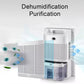 Bio Healing 2.2L Portable Dehumidifier & Air Purifier