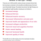 Red Light Relaxation Mat — Large Full-Body Wellness Pad